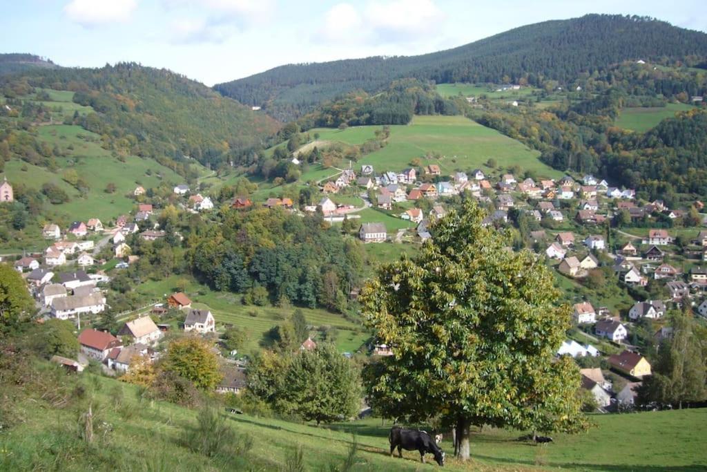 Yourte Des Verts Bois Fréland Exterior foto